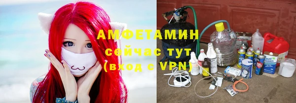 шишки Алзамай