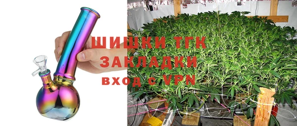 шишки Алзамай
