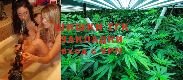 шишки Алзамай