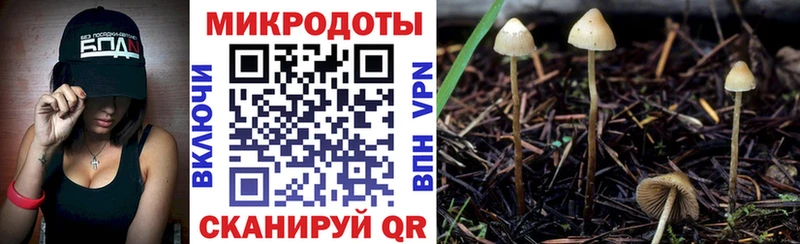 Псилоцибиновые грибы GOLDEN TEACHER  кракен онион  Талдом  где купить наркоту 